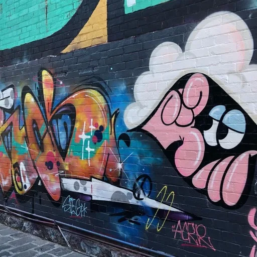 artist image