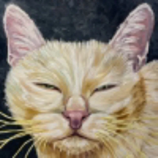 artist image