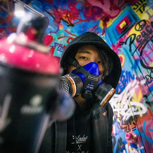 artist image