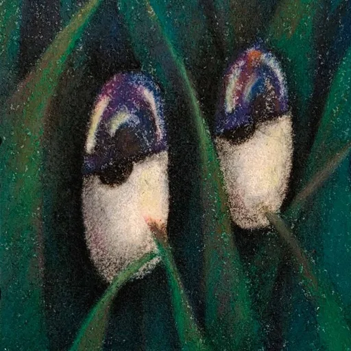 artist image