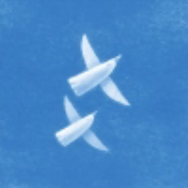 artist image