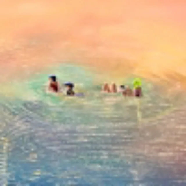 artist image