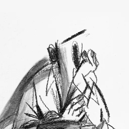 artist image