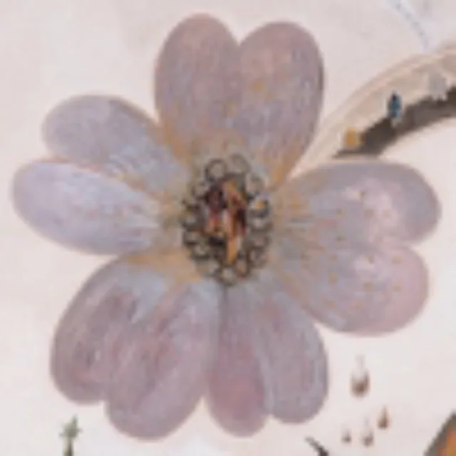 artist image